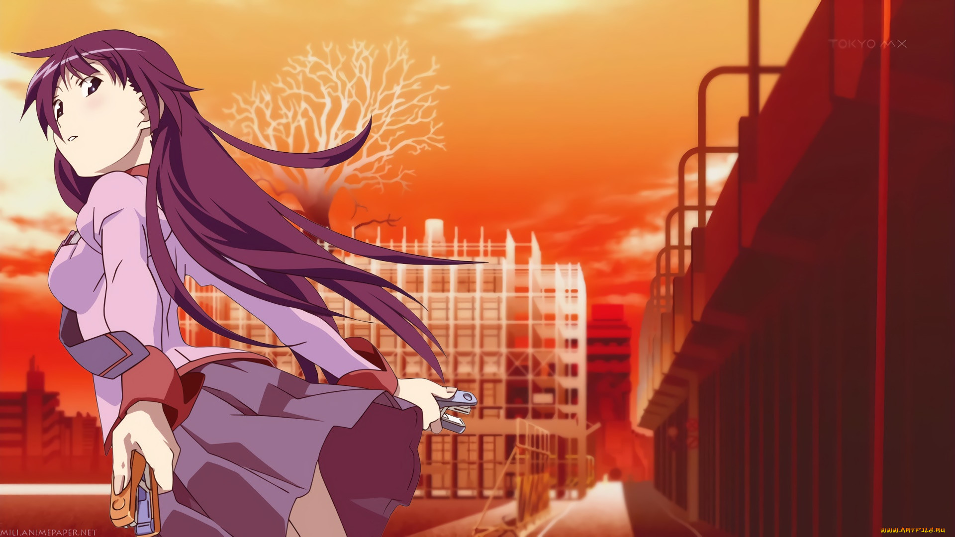 , bakemonogatari, , , 
